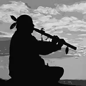 Picture for song 'Ind' by artist 'Toad'