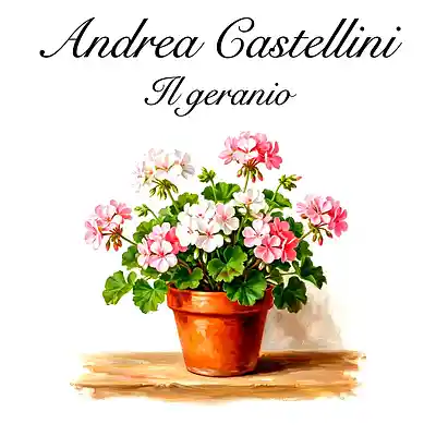 Picture for song 'Il geranio' by artist 'Andrea Castellini'