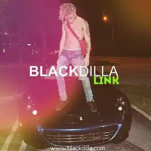 Picture for song 'LINK (EXCLUSIVE 200$)' by artist 'BLACKDILLA'