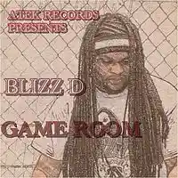 Picture for song 'Game room ' by artist 'BLIZZ D'