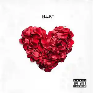 Picture for song 'HURT' by artist 'DJ Young Kid'