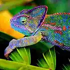 Picture for song 'If you leave this place...' by artist 'emanual teh pirate'