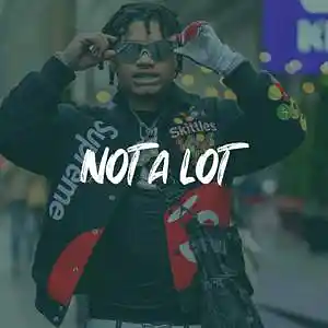 Picture for song 'NoCap x Toosii Type Beat - "NOT A LOT"' by artist 'ErieBeats'