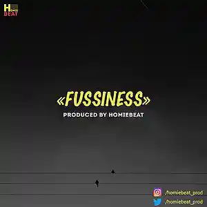 Picture for song 'Fussiness' by artist 'Homiebeat'