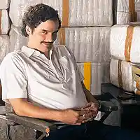 Picture for song 'Narcos !!!' by artist 'Majestic Drama'