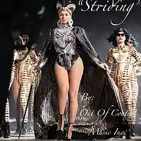 Picture for song 'Striding' by artist 'Out Of Control Music Inc'