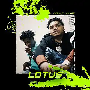 Picture for song 'Toosii x Lil Durk x Lil Tjay Type Beat - Lotus' by artist 'sange beats'