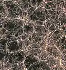 Picture for song 'DISCONNECTED' by artist 'SIANIDE1134'