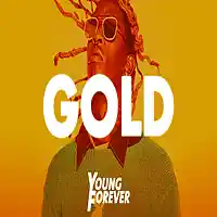 Picture for song 'Gold (Prod. By Young Forever)' by artist 'Young Forever Beats'