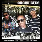 Picture for song 'Laid Back' by artist 'Cache City'