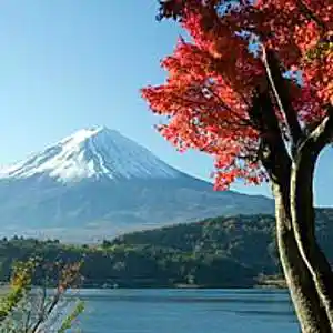 Picture for song 'Katashima' by artist 'Christian Faivre'