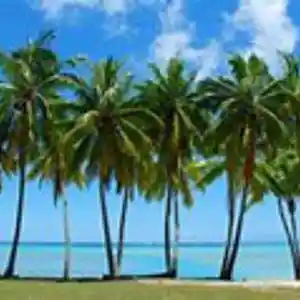 Picture for song 'big drip' by artist 'Hiphero Music'