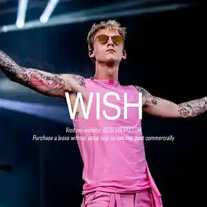 Picture for song 'WISH (Pop Punk x Mgk x Rock Type Beat)' by artist 'Kisses Beats'