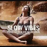Picture for song 'Slow Vibes' by artist 'Malcolm Lil John'