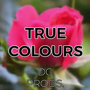 Picture for song 'DRILL - True Colours' by artist 'ProdByDGProductions'