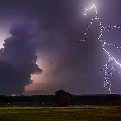 Picture for song 'No Delay' by artist 's9undV1ZNZ K 0 D 3 7'