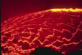 Picture for song 'Ultra flex' by artist 'Tim Reveles'