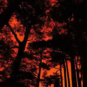 Picture for song 'Dark Piano Beat "Hurt" Beat for Sale' by artist 'whoDeanyBeatz'