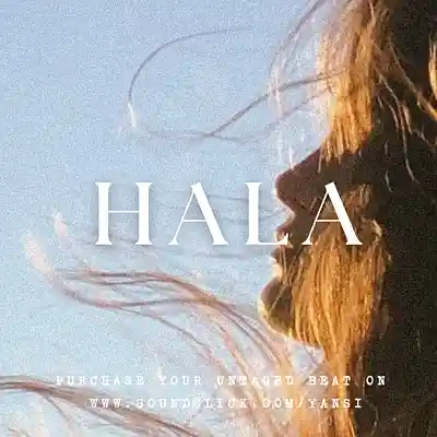 Picture for song '"HALA" Arabic Afrobeat x Oud & Guitar Type Beat' by artist 'yansi'