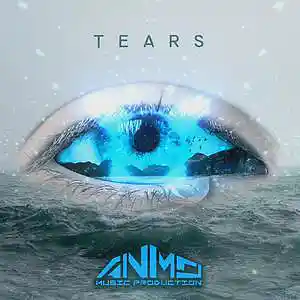 Picture for song 'Tears' by artist 'ANMO'