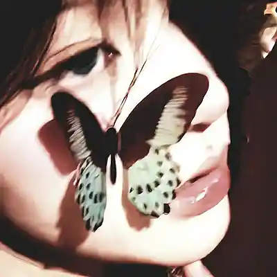 cover pic