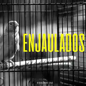 Picture for song 'ENJAULADOS' by artist 'Eduardo Osz'