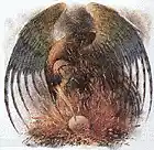 Picture for song 'Phoenix (Produced By Dj Espee)' by artist 'J-X (US)'