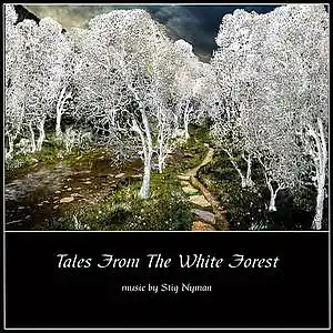 Picture for song 'In The Heart Of The White Forest' by artist 'NYMAN (Swe)'
