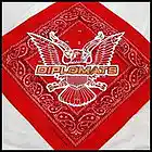 Picture for song 'Dipset Classic' by artist 'RASHAD BENJAMIN'