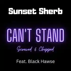 Picture for song 'Can't Stand Screwed & Chopped)' by artist 'Sunset Sherb (US)'