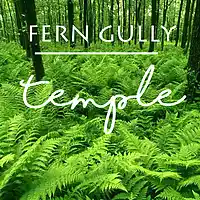 Picture for song 'Fern Gully' by artist 'Temple Hip Hop Instrumentals Producer'