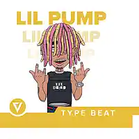 Picture for song 'Flex // Lil Pump Type Beat' by artist 'thaVillainz'