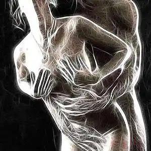 Picture for song 'Scotch Bonnet' by artist 'the lost highway'