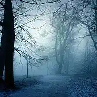 Picture for song 'Forest (@TnTbeats4thastreets)' by artist 'TragiC-LoC'
