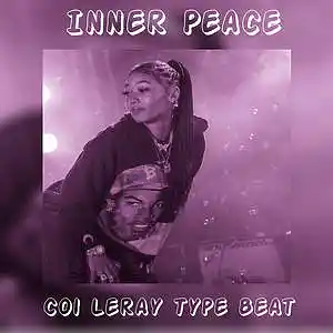 Picture for song '(FREE) Coi Leray x Lil Durk x Polo G Type Beat Inn' by artist 'Hollow Prod'