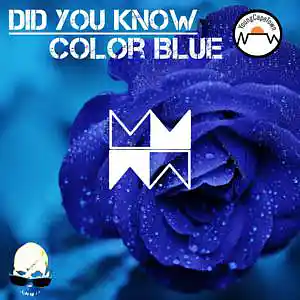 Picture for song 'Color Blue (w/ YoungCapeTown & Digital Jott Sound)' by artist 'KnowledgeTM'