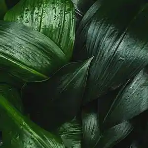 Picture for song 'Rainbow' by artist 'P.R Beats'