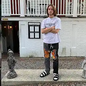 Picture for song 'Sabertooth' by artist 'prod. enzo'