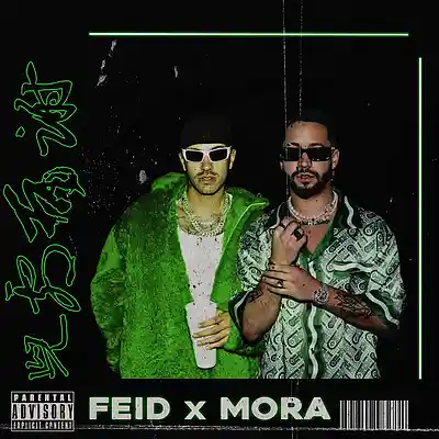 Picture for song 'PALMA - Mora x Feid Type Beat Reggaeton' by artist 'Ramboom'