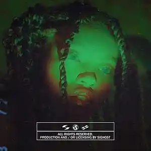 Picture for song 'Rude - Afrobeat Type Beat' by artist 'SIGHOST'