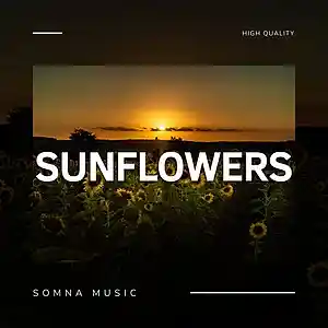 Song picture
