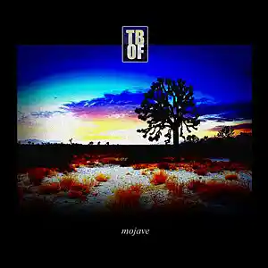 Picture for song 'Desert Moon' by artist 'The Best Of Fools'