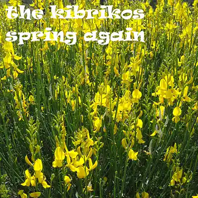 Picture for song 'spring again' by artist 'the kibrikos'