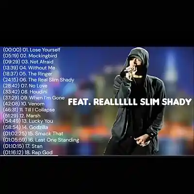 Picture for song 'mockingbirdeminemftrealllslimshady' by artist 'Eminem 2'
