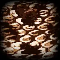 Picture for song 'Unexpected friendship in the rattlesnakes ne' by artist 'The Serendipitous Cacophonies'