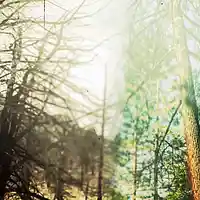 Picture for song 'My Friend (2015)' by artist 'Unda Preshur'