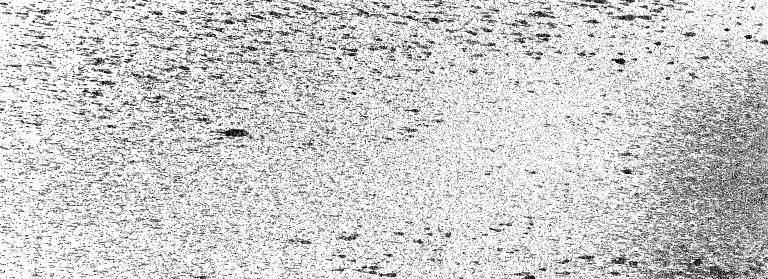 cover pic