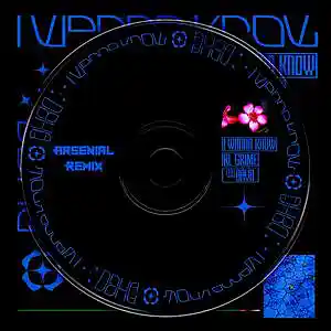 Picture for song '(FREE) I Wanna Know (SYNTHWAVE TYPE BEAT)' by artist 'Arsenial Beats'