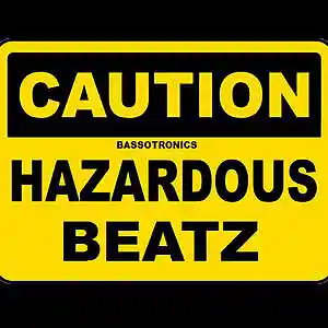 Picture for song 'Hazardous Beatz' by artist 'BASSOTRONICS'