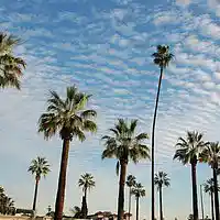 Picture for song 'BoomBap ATM - Where Im From *BANGER*' by artist 'BoomBap ATM'